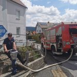 teichreinigung_2021-05-01 014